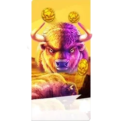 Buffalo
King