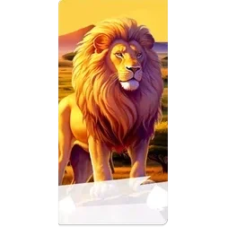 Lion
Safari